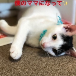 甘えん坊のそっくりな兄弟の左近君