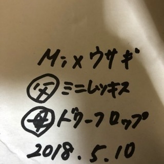 一時停止中