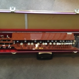 【大正  琴伝流（きんでんりゅう ） 】さつきの画像