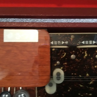 【大正  琴伝流（きんでんりゅう ） 】さつきの画像