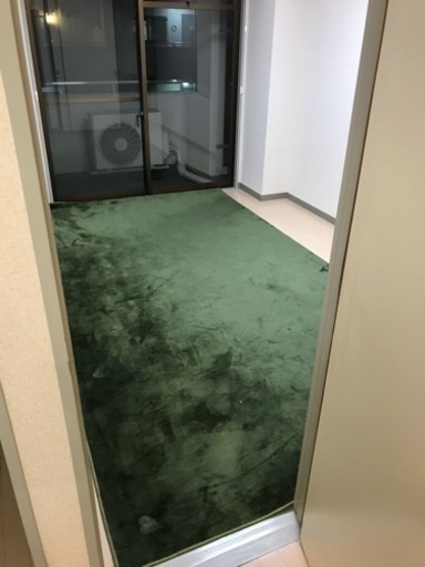 カーペット 絨毯 スミノエ・カラーパレット ロンジェ
