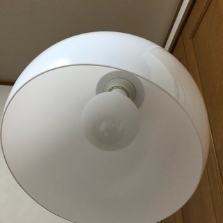 半額にしました！！フロアランプの画像