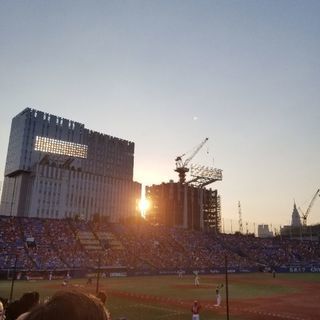 野球観戦仲間募集！