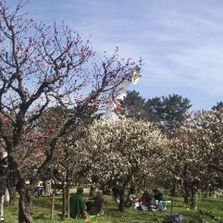 トレッキング、ハイク、の画像