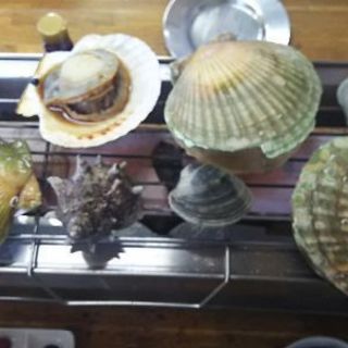 平日、火曜、水曜バイクツーリング友達募集☆ - 千葉市