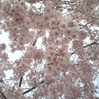 何でも話せる人募集