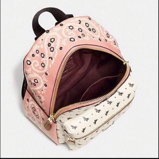 新品 ☺︎ COACH コーチ 限定リュック