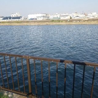 釣りにつれてってください