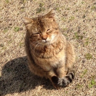 【どんな愚痴でも聞きます】