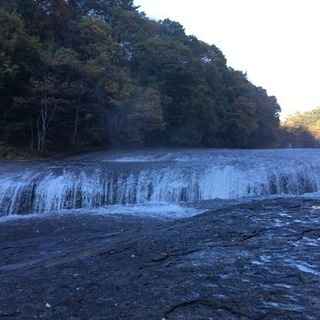 役者、スタッフ募集 - メンバー募集