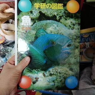 学研の図鑑6冊セットの画像