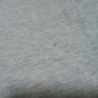 アバクロンビーTシャツの画像