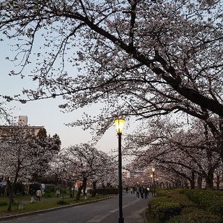 親友、心友を作ろう！