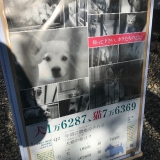 動物保護団体の寄付です。M