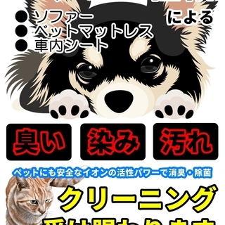マットレス・ソファーのクリーニング※ペットの粗相も対応　旭川　札...