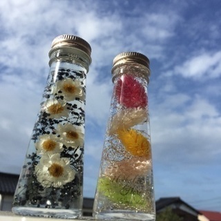 ハーバリウムの画像