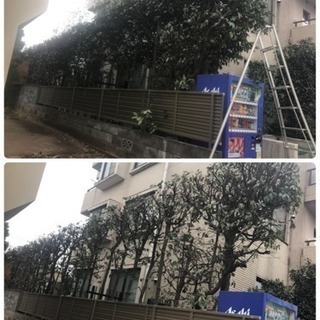 アパートマンション植栽管理 庭木手入れ（所沢市 埼玉県内東京都内） - 地元のお店