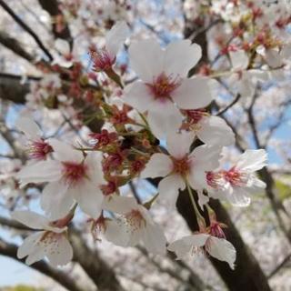 ☺少し子供が心配なママの会☺