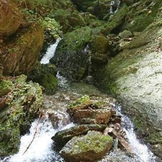 渓流釣り仲間が欲しいです - 友達