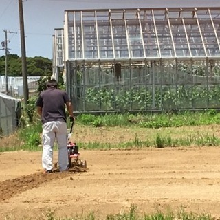 🚧現場スタッフ🚧  急募の画像