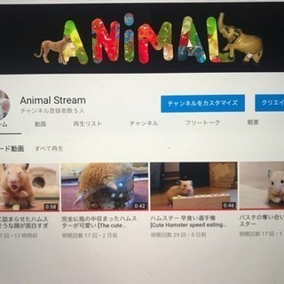 あなたの価値ある動画が収入に。今なら動画の買い取りも