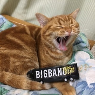 BIGBANG好きな方☆