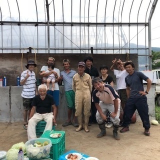 レタス、キャベツの収穫作業していただける方の募集です。