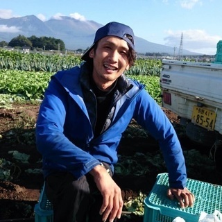 レタス、キャベツの収穫作業していただける方の募集です。の画像