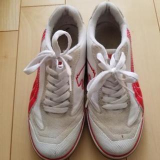 ⛹️体育館シューズ24.5cm🏋️