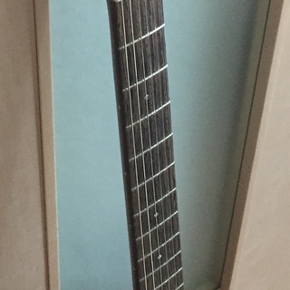 フジゲンのHistory HEG-120 エレガット