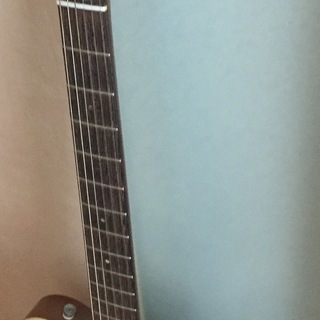 フジゲンのHistory HEG-120 エレガット