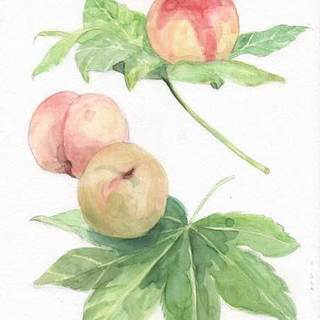 楽しく水彩画を描きませんか? の画像