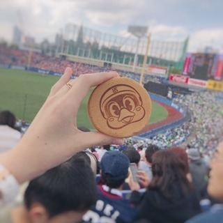女性のヤクルトファン友達募集！