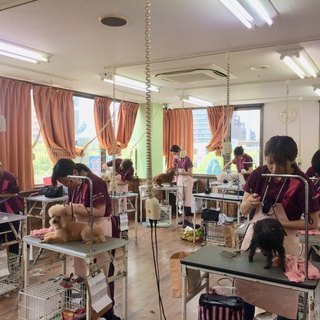 日曜フリータイムコースは駐車場を無料で使っていただけます。神戸愛犬美容専門学院の画像