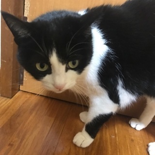 伊那市付近でキャッチボールなど