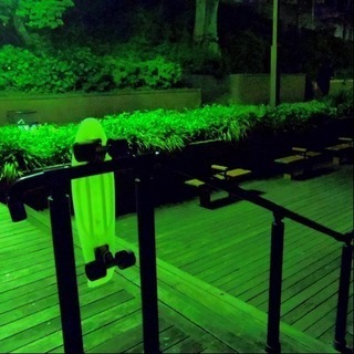 ペニーで一緒に散歩しませんか？？