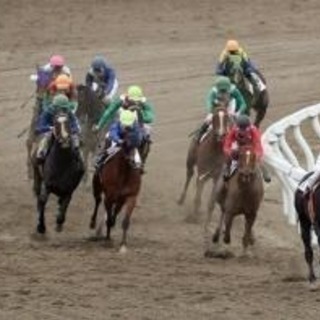【🏇女性、初心者大歓迎‼️】🐎競馬グループのメンバー募集‼️現在31名‼️【女性4名‼️】 − 東京都