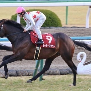 【🏇女性、初心者大歓迎‼️】🐎競馬グループのメンバー募集‼️現在31名‼️【女性4名‼️】 - 新宿区
