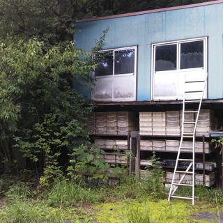 商談中　ヒスイが採取できる海迄近い、居住スペース有、建坪150坪の平屋工場及び３０坪の納屋（借地） - 不動産