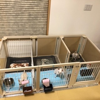 木製 ペット用サークル  犬  ケージ  ハウス