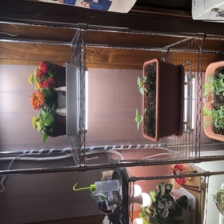 農業用LED電球から植物育成用照明まで。オリジナル照明にも対応します。