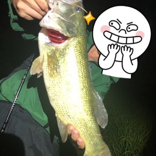 ブラックバス釣り🎣群馬最大級グループ 