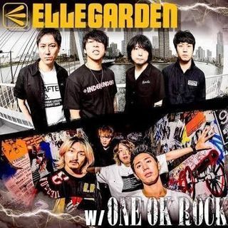 ELLEGARDEN好きな方募集中！