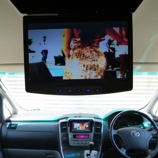 検査30年11月MSプレミアム 実走8.6万km/社外20インチ/車高調/両側パワスラ/HDDサイバーナビ/フルセグ/フリップダウン/バックカメラ/HID/ETCの画像