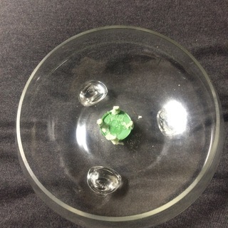 500円　３つ脚　ガラスの花器