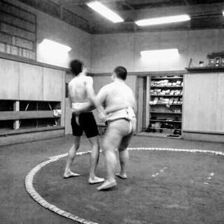 多摩で相撲！こどもから大人まで！：多摩相撲クラブ(国士舘大学スポーツ公開講座相撲)の画像