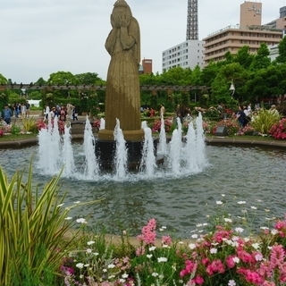 写真サークルメンバー募集　＊TKB写真部＊ - その他