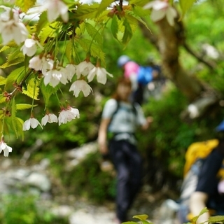 写真サークルメンバー募集　＊TKB写真部＊ − 東京都