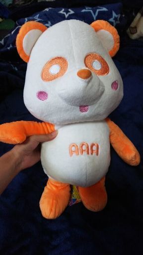 え～パンダ AAA オレンジ ニッシー