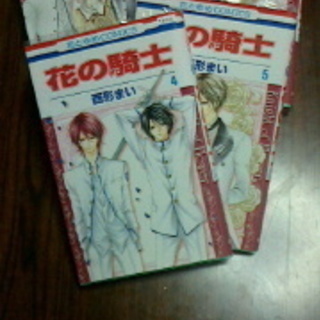 漫画　花の騎士　完結☆中古